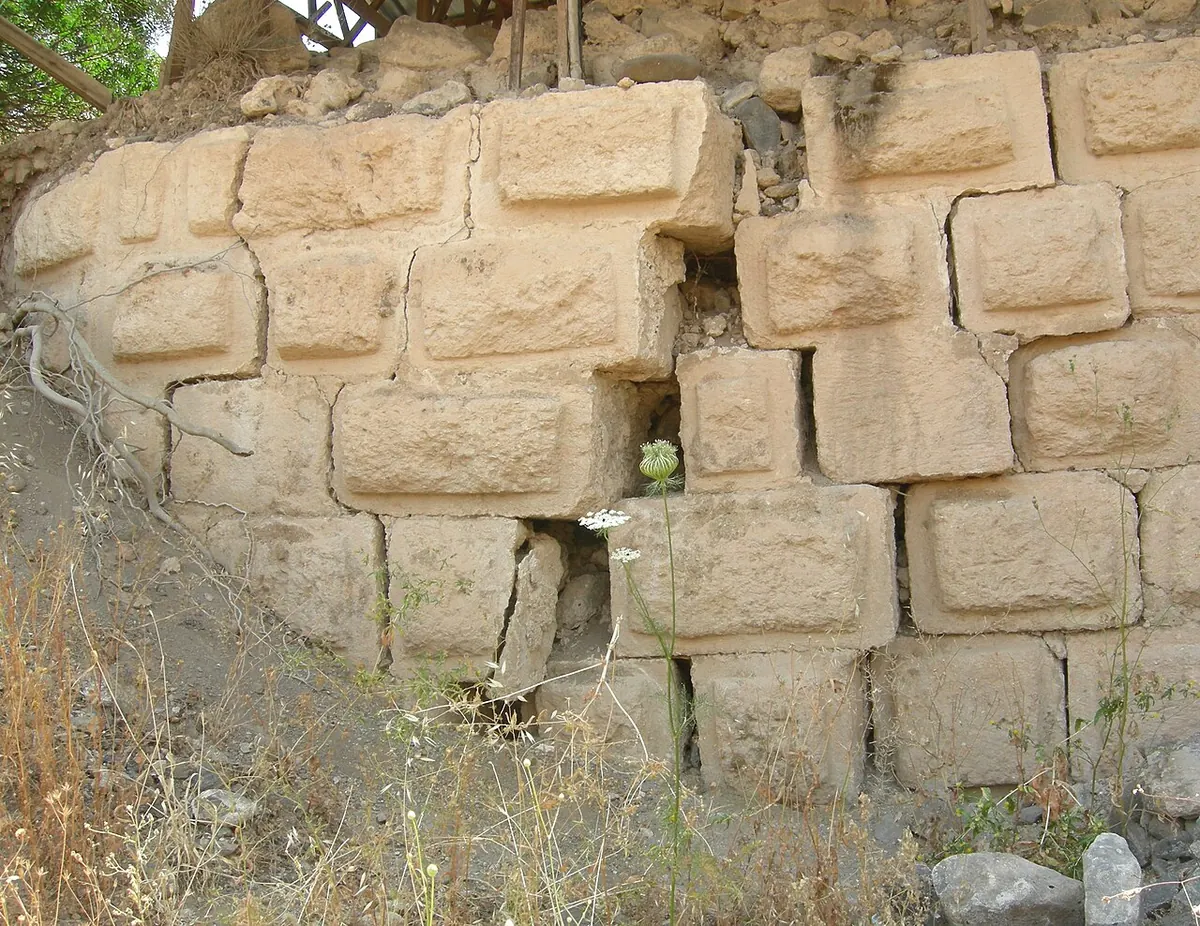 קיר של אבנים גדולות ומסותתות בין צמחייה. חלק מהאבנים זזו ממקומן.
