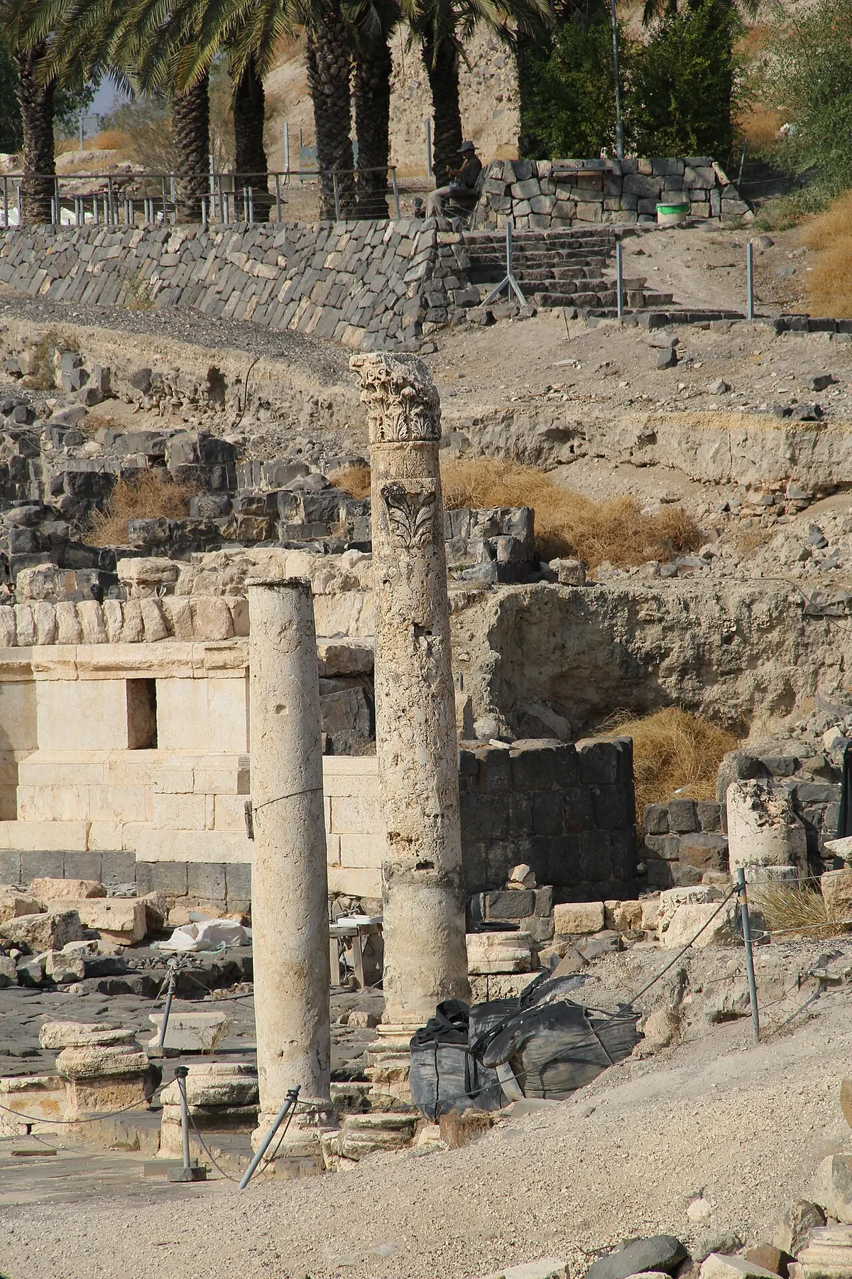 שני עמודי אבן עומדים בין חורבות, ומאחוריהם עצי תמר.